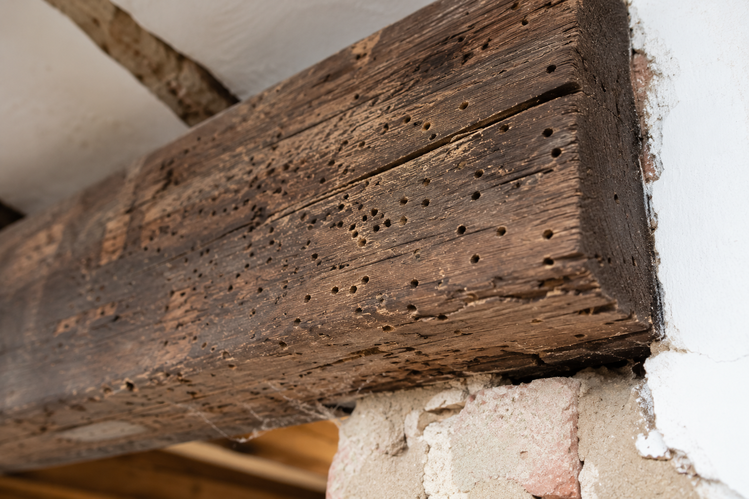 Condensation and mould around an interior window reveal