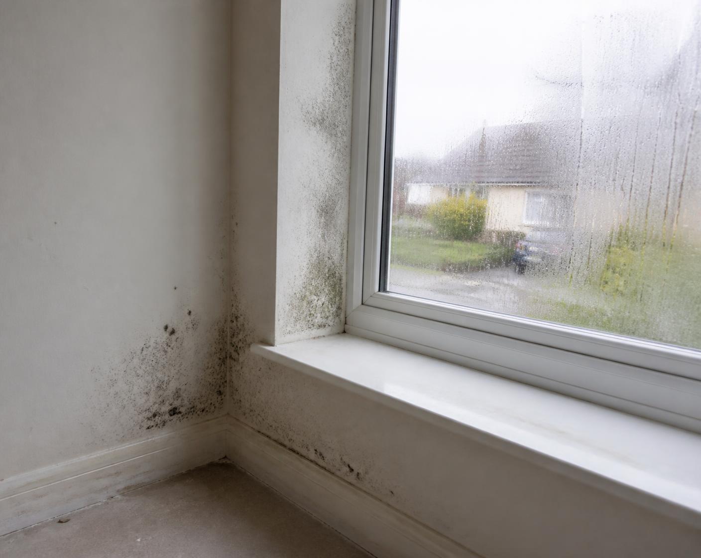 Condensation and mould around an interior window reveal